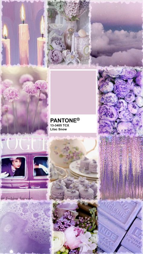 Lilac #lilac #purple #lavender #pantone Lilac Purple, Colour Board, Purple Aesthetic, Dream Room, Wall Collage, Lilac, Lavender, Purple, Color