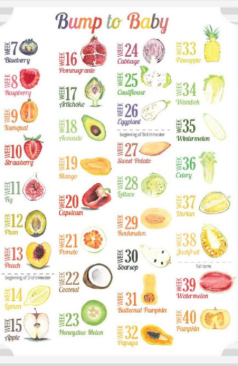 The series of fruits and vegetables representing the baby’s size from week seven to 40. Pregnancy Fruit, Baby Size By Week, Pregnancy Diets, Food Trivia, Christmas Announcement, Pregnancy Eating, Postpartum Care Kit, Baby Weeks, Pregnancy Calculator