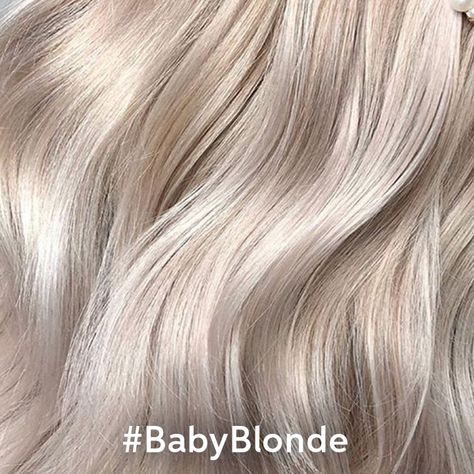 Baby Blonde Color Formulas | Wella Professionals Wella Nordic Blonde 12aa, Wella Pearl Blonde Toner, Champagne Blonde Hair Color Formula, Champagne Ice Blonde Hair, Creamy Pearl Blonde Hair, Wella Blonde Hair Color Formulas, Pearl Platinum Blonde Hair, Wella Blonde Toner Formula, Creamy Blonde Hair Formula