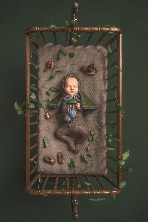 Baby in Cradle Wren, Newborn Photography, Fairy Tales, Photographer, Frame, Photography, On Instagram, Instagram, Home Decor