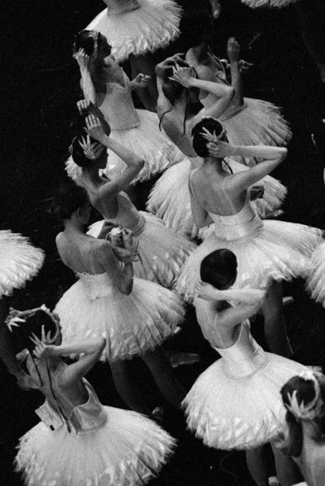 Svetlana Zakharova, Anna Pavlova, Vintage Ballet, Paris Opera Ballet, Ballet Photos, Lake Photos, Dancing Aesthetic, Ballet Photography, Ballet Beautiful