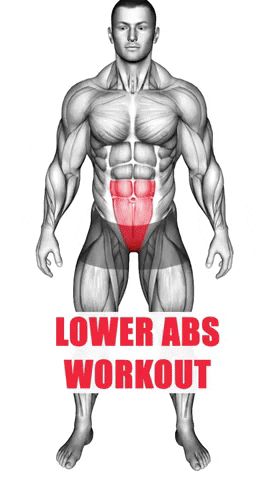 Workout for Lower Abs Stomach Workouts At Home, Belly Fat Workout For Men, Lower Ab Exercises, Abs And Obliques Workout, Bodybuilding Workouts Routines, Best Gym Workout, Core Strengthening, Ab Workout Men, Bodybuilding Workout Plan