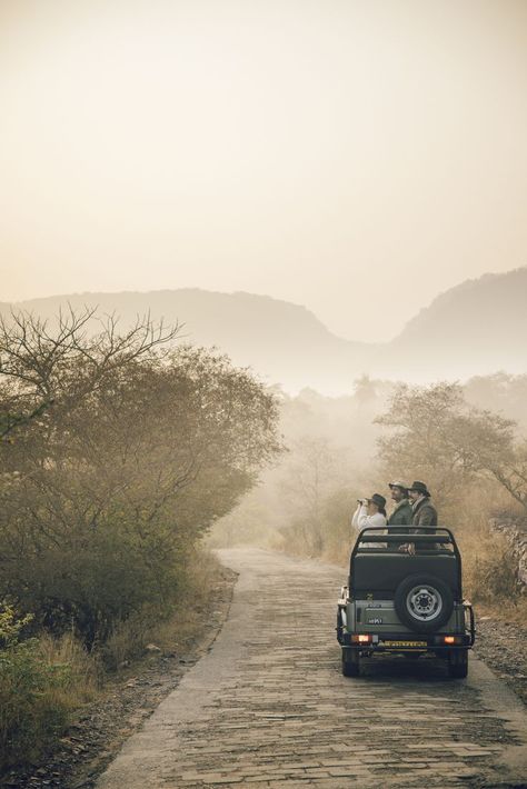 Discover the wildlife of Ranthambore National Park. Set off on this ultimate adventure to explore the depths of Ranthambore National Park on the trail of the Royal Bengal Tiger. Once the former hunting grounds of the Maharajas of Jaipur, today it draws the attention of many passionate wildlife lovers and photographers. Expert naturalists lead the way showing you all things small and large that live in the wilds of Ranthambore. It's a short 30-minute drive to get there from the resort. Royal Bengal Tiger, Ranthambore National Park, Six Senses, The Wilds, Bengal Tiger, Lead The Way, Car Lover, Jaipur, Travel Inspiration