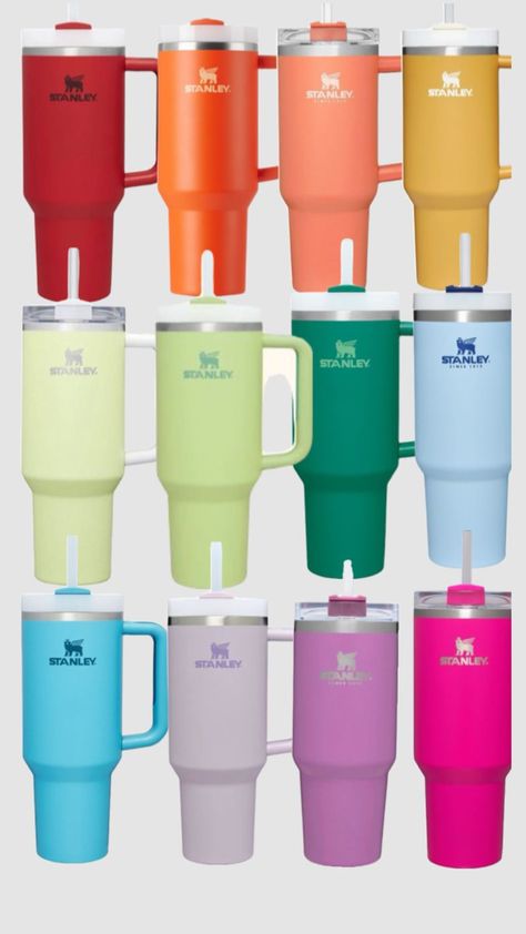 Preppy Rainbow, Stanley Bottle, Stanley Products, Leyte, The Coral, Cute Cups, Stanley Cup, Tumbler With Straw, I Want