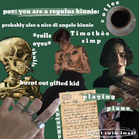 Sirius Black Kin, Regulus Black Kinnie Aesthetic, Regulus Black Kin, Regulus Black Kinnie, Marauders Era Slytherin, Regulus Black Outfit, Regulus Kinnie, Marauders Era Outfits, Regulas Black