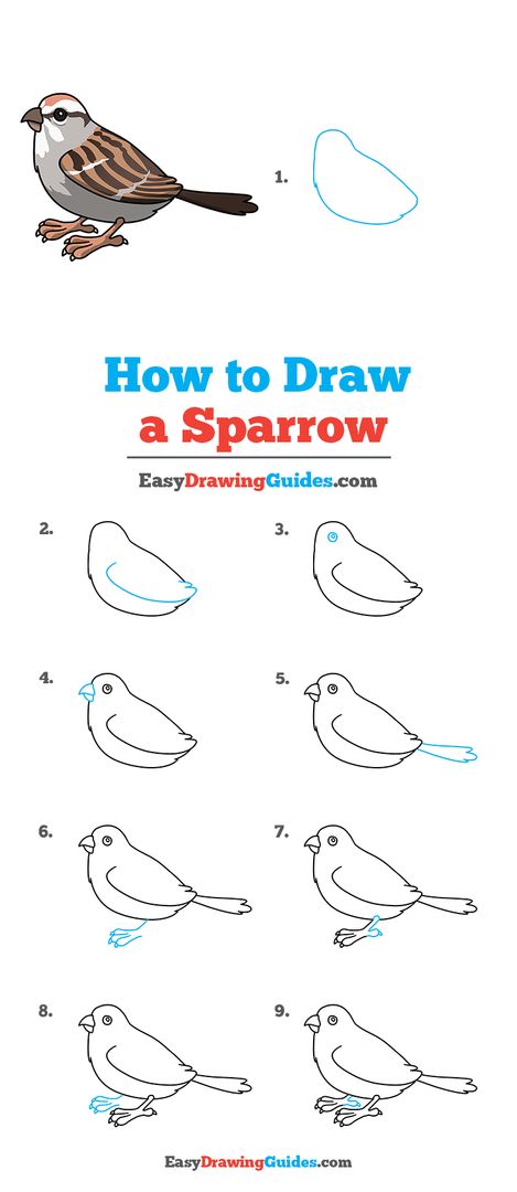 Drawing Sparrow Birds, Sparrow Art Bird, Birds Drawing Tutorial, How To Draw A Sparrow Step By Step, Easy Sparrow Drawing, How To Draw Sparrow, Drawing Ideas Easy Birds, Draw Birds Easy Step By Step, Sparrow Drawing Simple