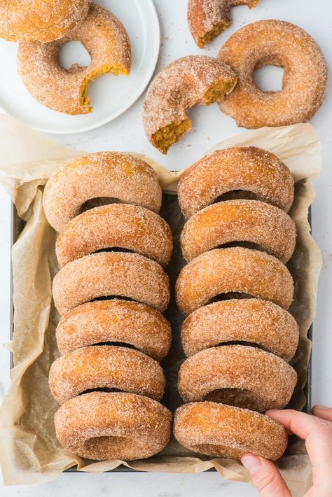 Our favorite pumpkin donuts only take 30 minutes to make! Coat these fall donuts in cinnamon sugar for a classic pumpkin spice donut. Baked donuts are easy to make in the oven with only 10 ingredients. Plus they are eggless and include gluten free instructions. #pumpkindonuts #falldonuts #bakeddonuts #glutenfreedonuts Pumpkin Spice Donuts Baked, Spice Donuts Baked, Donut Baked, Fall Donuts, Doughnut Recipe Easy, Homemade Donuts Recipe, Pumpkin Spice Donut, Baked Donut Recipes, Homemade Donuts