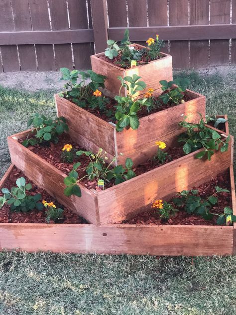 My cedar fence, tiered strawberry raised bed, made by yours truly...I’m very proud! Vegetable Garden Beds, Cedar Raised Garden Beds, Raised Vegetable Gardens, Diy Garden Bed, Vegetable Garden Raised Beds, Building A Raised Garden, Exquisite Gardens, Tiered Garden, Cedar Fence