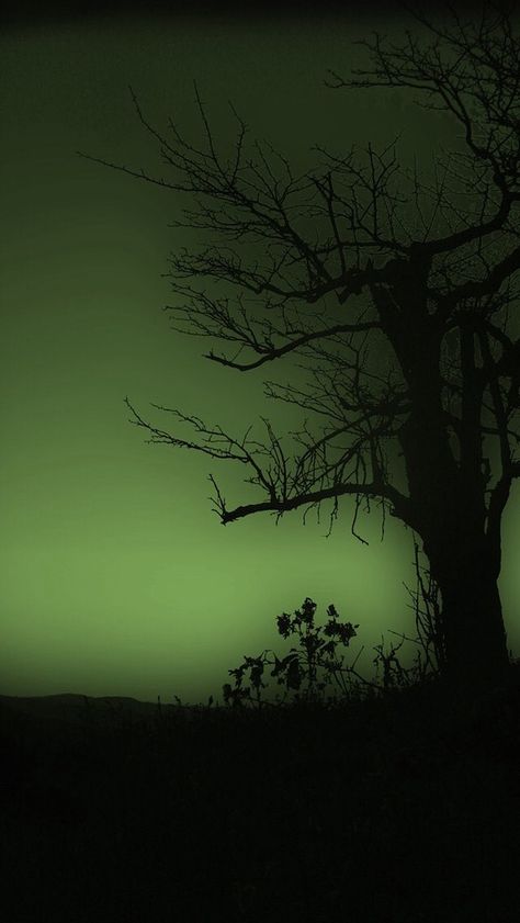 Spooky Witch Wallpaper, Black And Green Halloween Wallpaper, Creepy Halloween Backgrounds, Neon Green Halloween Wallpaper, Dark Green Phone Aesthetic, Spooky Green Aesthetic, Haloween Wallpers Phone Aesthetic, Green Spooky Aesthetic, Creep Wallpaper