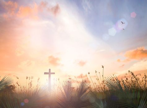 Beautiful Easter Dinner Prayers for Holiday Blessings Cross With Palm Leaves, Meadow Sunset, Holiday Blessings, Dinner Prayer, Jesus Cross Wallpaper, Silhouette Sport, Sunrise Background, Wallpaper Powerpoint, Easter Prayers