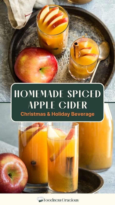 Warm up this holiday season with a comforting mug of Homemade Spiced Apple Cider. This festive Christmas beverage is infused with aromatic spices, creating a delightful and cozy drink perfect for chilly evenings. Learn how to make this easy and delicious recipe on our website. Apple Cider Easy, Warm Christmas Drinks, Warm Drinks Recipes, Love At Christmas, Quick Family Dinners, Kids Juice, Homemade Apple Cider, Spiced Apple Cider, Cider Making