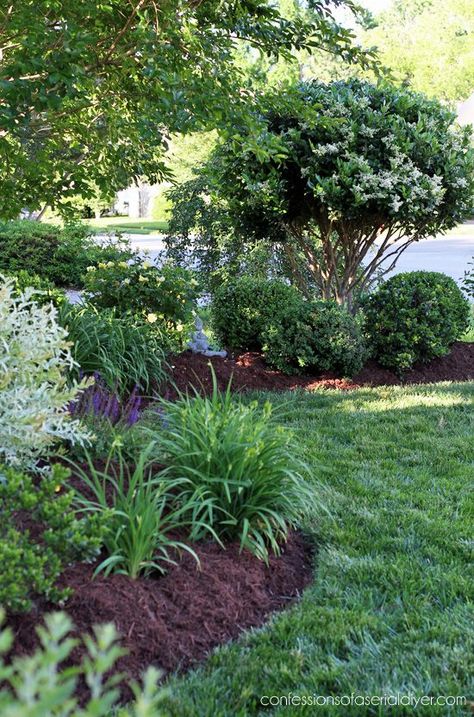 Front Yard Flowers, Garden Wallpaper, Garden Shrubs, Large Garden, Landscape Plans, Home Landscaping, Front Yard Garden, Yard Design, Garden Tours