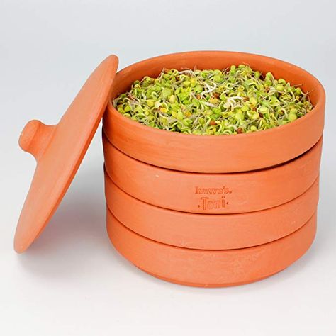 Amazon.com : hawos Toni Terracotta Sprouter Clay Sprouting Pot : Gateway Seed Sprouter, Sprouting Seeds, Clay Set, Homburg, Negroni, Garden Soil, Pottery Designs, Clay Pot, Clay Pots