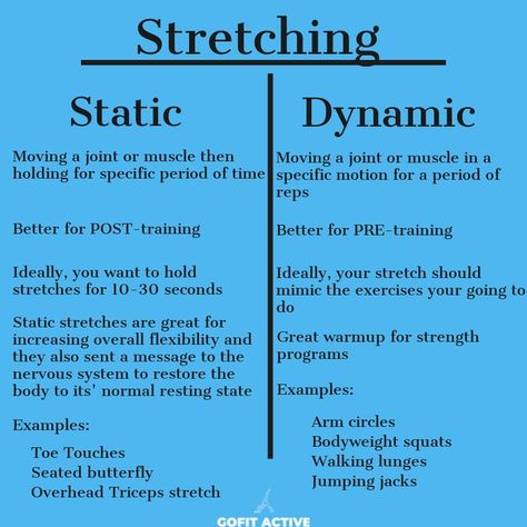 After Workout Stretches, Hamstrings Workout, Dynamic Stretching Exercises, Static Stretches, Back Gains, Pre Workout Stretches, Tips To Gain Weight, Stretches Before Workout, Physical Therapy Assistant