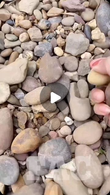 Özge 💚🌵🧿 on Instagram Small Rock Garden Ideas, Small Rock Garden, Unusual Garden Ornaments, Rock Garden Ideas, Rock Flowers, Bird Bath Garden, Vegetable Garden Diy, Garden Crafts Diy, Garden Hacks