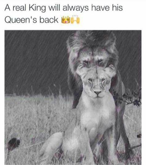 A true King will always have his Queens back. Lion Quotes, Lion Love, Workout Memes, Gym Memes, Gym Humor, Queen Quotes, A Lion, Workout Humor, King Queen