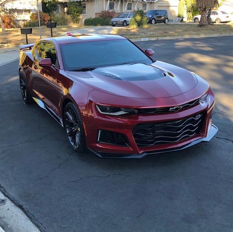 Cheverlot Camaro, Red Chevrolet, Red Camaro, Custom Camaro, Chevy Camaro Zl1, Camaro Car, Chevrolet Camaro Zl1, Chevrolet Ss, Fast Sports Cars