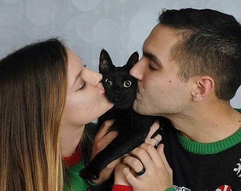 Hilarious Christmas Cards, Funny Christmas Photo Cards, Funny Family Christmas Cards, Funny Christmas Photos, Cat Christmas Cards, Family Christmas Card Photos, Family Holiday Cards, Christmas Card Pictures, Funny Couple