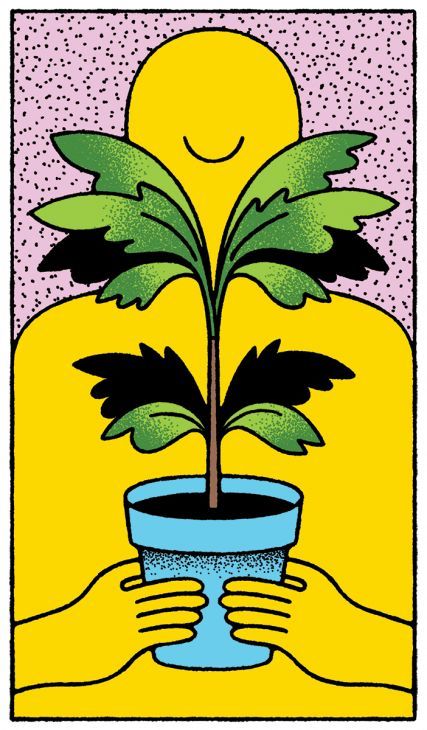 Plant illustration by Lan Truong Lan Truong, The Salvation Army, 1 Thessalonians, Salvation Army, Star Children, Attitude Of Gratitude, Find A Way, Plant Illustration, Adult Coloring