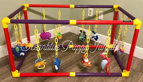 Puppy Play Gym, Ferrets Care, New Puppy Checklist, Indoor Dog Kennel, Puppy Checklist, Dog Breeders, Sensory Development, Play Gym, Indoor Dog