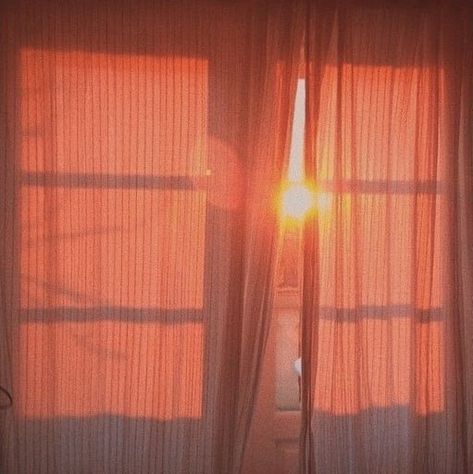 Sun Window, Coral Wallpaper, Peach Aesthetic, Live Coral, Orange Aesthetic, Aesthetic Colors, Salmon Color, Aesthetic Themes, Aesthetic Images