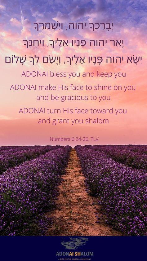 Have you heard the beautiful song titled, “The Blessing,” by Cody Carnes, Kari Jobe, and Elevation Worship? The lyrics for the beginning of the song come directly from Numbers 6:22-26. In Hebrew, this blessing is called “Birkat Kohanim.” It is a blessing that has withstood the test of time, continuing to minister to hearts around the world. Find out more about the Aaronic Blessing: Aaronic Blessing, Priestly Blessing, Cody Carnes, Hebrew Blessing, Hebrew Prayers, Elevation Worship, Kari Jobe, Inspirational Blogs, Biblical Womanhood