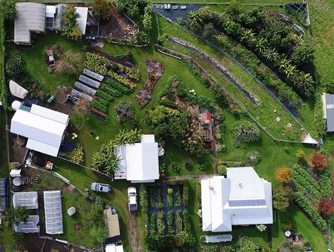 1-acre permaculture farm in Australia feeds 50 families // @inhabitat Plan Potager Permaculture, Farm Kitchen Ideas, Permaculture Farming, Mandala Garden, Permaculture Farm, Acre Homestead, Natural Farming, Farm Layout, Permaculture Gardening