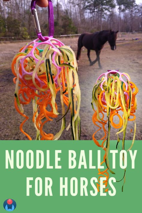 Image pin shows DIY noodle ball treat toy for horses hanging from fingers. Toy is made of webby, hollow o ball baby toy and full of carrot noodles and cucumber noodles. Inset image shows toy in foreground and horse approaching in background. Overlay text reads: noodle ball toy for horses with Enriching Equines logo in lower left corner. Easy Horse Stalls, Horse Enrichment, Easy Cute Diy, Diy Horse Toys, Toys For Horses, Homemade Horse Treats, Horse Farm Ideas, Horse Food, Goat Barn