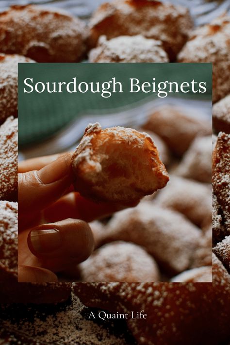 Easy Sourdough Beignets Recipe - A Quaint Life Sourdough Beignets Recipe, Sourdough Bialy Recipe, Recipes Beignets, Sourdough Beignets, Sourdough Bomboloni, Sourdough Banneton, Sourdough Discard Cibatta, Beignet Recipe, Easy Sourdough