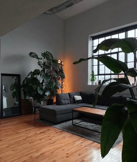 Man Appartment Ideas, Minimalist Apartment With Plants, Dark Apartment Aesthetic Bedroom, Monstera Living Room, Boy Apartment Aesthetic, Dark Minimalist Apartment, Male Interior Design, Edgy House, Guy Apartment