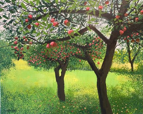 Orchard Illustration, Acrylic Artwork, Apple Orchard, Apple Tree, Art Exhibition, Acrylic On Canvas, Acrylic Painting, Illustration Art, Canvas