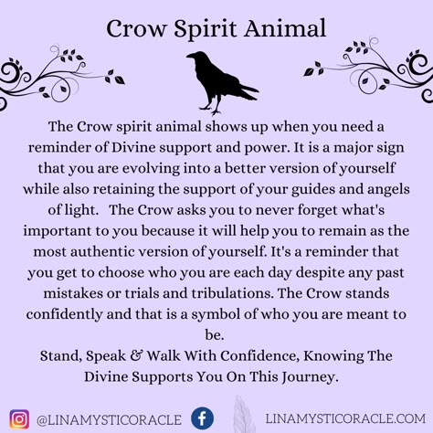 Crow Spirit Animal Meaning, Crow Animal Spirit, Crow Omen Meaning, Spirit Animal Crow, Crows Meaning Witchcraft, Crow Significance, Crow Sightings Meaning, 1 Crow Meaning, Crow Cawing Meaning