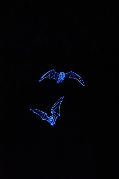 Blue Bat Aesthetic, Ezekiel Core Aesthetic, Blue Evil Aesthetic, Goth Blue Wallpaper, Emo Blue Aesthetic, Vampire Blue Aesthetic, Spooky Blue Aesthetic, Blue Goth Aesthetic Wallpaper, Dark Blue Magic Aesthetic