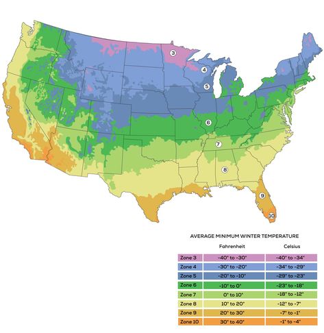 October Planting Zone-by-Zone - Harvest to Table Growing Zones Map, Planting Zones Map, Plant Hardiness Zone Map, White Flower Farm, Zone 7, Plant Zones, Zone 9, Plant Catalogs, Zone 5