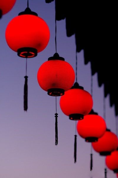 Chinese Lanterns Red Lanterns, Japanese Lanterns, Simply Red, Red Lantern, Chinese Lanterns, Red Aesthetic, Chinese Culture, Paper Lanterns, Lantern Lights