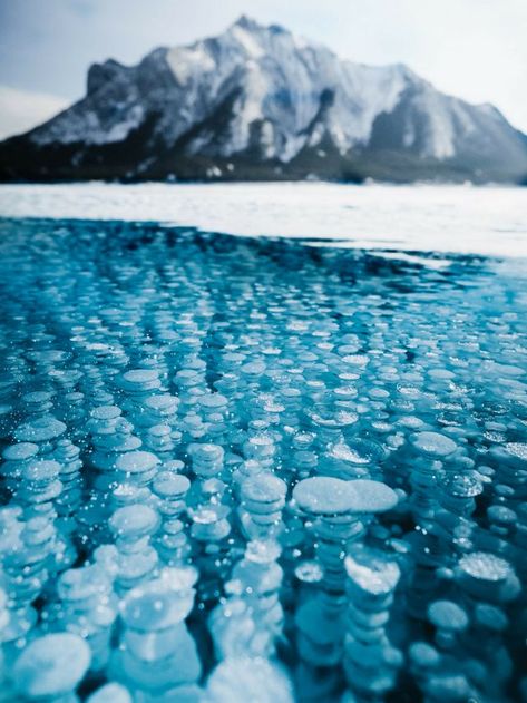 12 Must See Stops on the Icefields Parkway Methane Bubbles, Best Winter Destinations, Frozen Bubbles, Abraham Lake, Nature Destinations, Icefields Parkway, World Of Wanderlust, Winter Destinations, Banff National Park