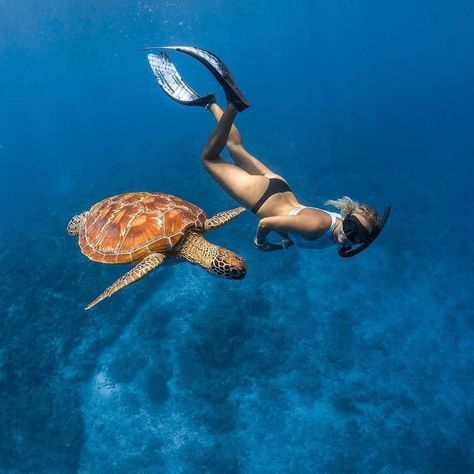 Early morning swim with one of the many turtles that call the Gili islands home. 🐢 😉 🌴Follow @mayantravels_🌴 🌴Follow @mayantravels_🌴… Morning Swim, Gili Islands, In The Ocean, Turtles, The Ocean, Diving, Swimming