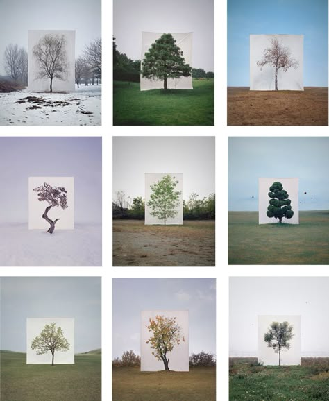 Artist, Myoung Ho Lee Typology Photography, Peabody Museum, A Level Photography, Creative Landscape, Landscape Photography Tips, Collections Photography, Tree Photography, Photo Series, Korean Artist