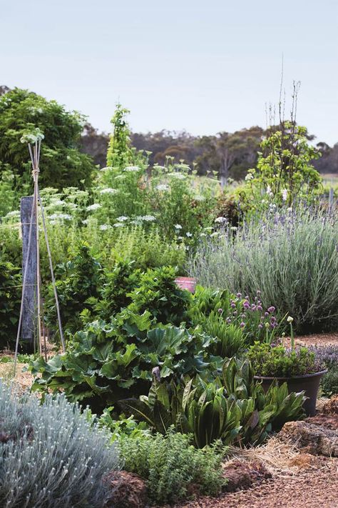 A sensory garden, at Whicher Ridge winery in WA’s Geographe wine region, is an educational experience that takes the guess work out of food and wine pairing. Filled with herbs and edible plants associated with the wines they produced, this garden is a feast for the senses. Australia Homes, Food And Wine Pairing, Food Forest Garden, Australia Country, Waterwise Garden, Homes To Love, Sensory Garden, Veg Garden, Low Maintenance Garden