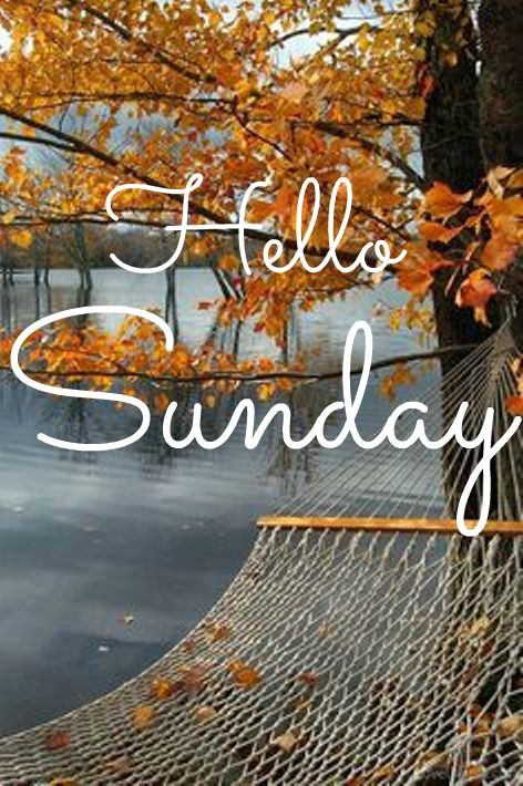 Happy Sunday coastal lovers ~ Happy Sunday Morning, Sunday Morning Quotes, Sunday Greetings, Sunday Images, Quotes Dream, Hello Sunday, Happy Weekend Quotes, Weekday Quotes, Weekend Quotes