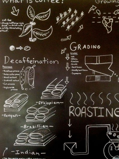 "The Coffee Process" 4'x6' Illustration $450 Coffee Process Illustration, Coffee Warehouse, Chalkboard Paint Projects, Coffee Process, Coffee Shop Branding, Chalk Talk, Shop Branding, Greenhouse Ideas, Coffee Drawing