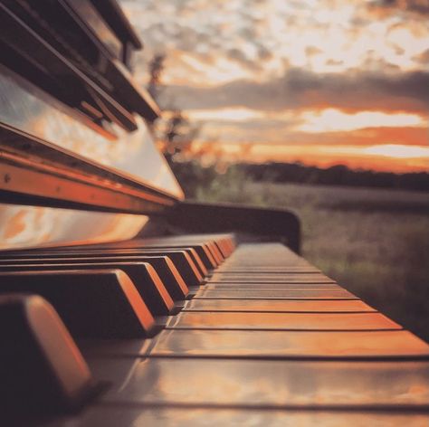 The Piano, Piano