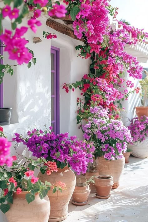 Mexican Hacienda Patio, Mexican Landscaping Ideas, Mexican Patios, Mexican Inspired Decor, Patio Mexicano, Mexican Plants, Mexican Patio Ideas, Mexican Courtyard, Mexican Landscape