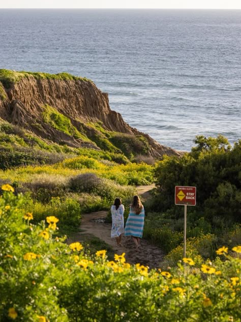 Byu Hawaii, University Of California San Diego, Surf Room, Zoey 101, California San Diego, Sunset Cliffs, Spring Semester, Point Loma, College Dorms