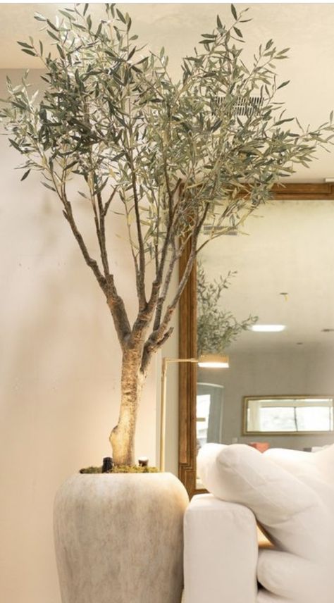 Olive Tree In Vase, Ficus Tree Indoor Living Rooms, Olive Tree Decor, Ficus Tree Indoor, Indoor Olive Tree, Baroque Interior Design, Apartment Lighting, Girl Apartment, Faux Olive Tree