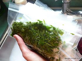 Freezing Fresh Oregano, How To Freeze Fresh Oregano, Freezing Oregano, Homemade Goodies, Oregano Leaves, Herb Gardening, Garden Harvest, Fresh Oregano, Fresh Mint