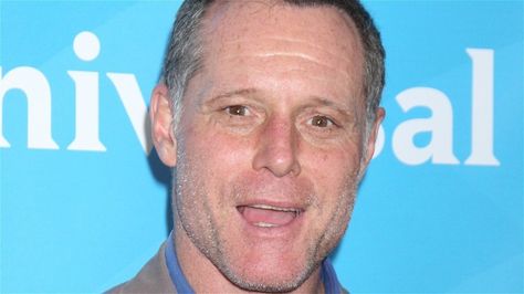 What Chicago P.D. fans don't know about Jason Beghe Hank Voight, Jason Beghe, Chicago Pd, Tv Series, Chicago, Fan, Celebrities, Quick Saves