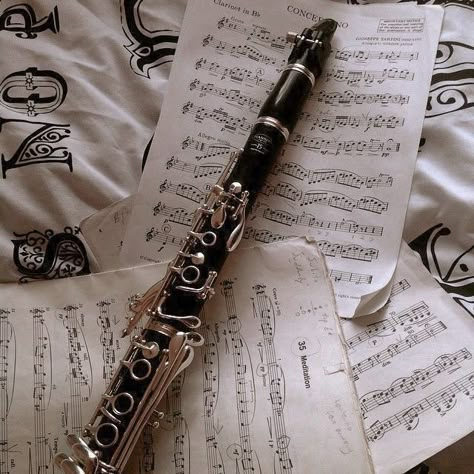 Clarinet Aesthetic, Robin Buckley Aesthetic, Instrument Aesthetic, Robin Aesthetic, Clarinet Music, Clarinets, Charlie Spring, Band Nerd, Alice Oseman