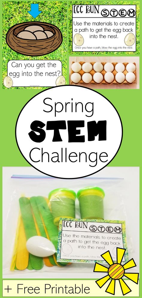 The pin shows a picture of a printable that says, "Can you get the egg into the nest?" and "Egg run STEM Use the materials to create a path to get the egg back into the nest" and a carton of eggs and a bag with play dough, egg and popsicle sticks. Kindergarten Stem Challenges, Easter Stem Challenge, Easter Stem Activities, Steam Activities Elementary, Simple Stem Challenges, Spring Stem Activities, Stem Challenges Elementary, Simple Stem Activities, Stem Activity For Kids