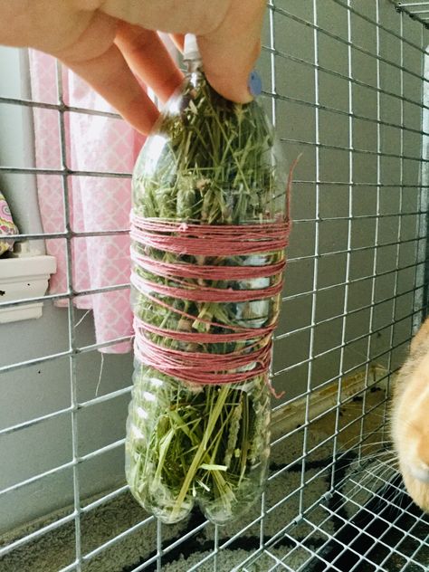 Bunny Hay Feeder Ideas, Diy Bunny Hay Feeder, Rabbit Hay Feeder Diy, Diy Hay Feeder Rabbit, Diy Rabbit Water Bottle, Diy Wooden Hay Feeder Rabbit, Diy Hay Feeder, Bunny Hay Feeder, Wood Hay Feeder Rabbit